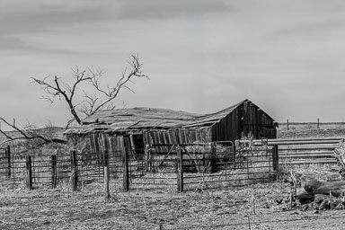 Abandoned Old